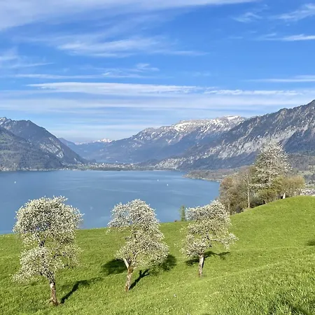 Apartamento Panoramaferienwohnung Waldkircher By Interhome Krattigen