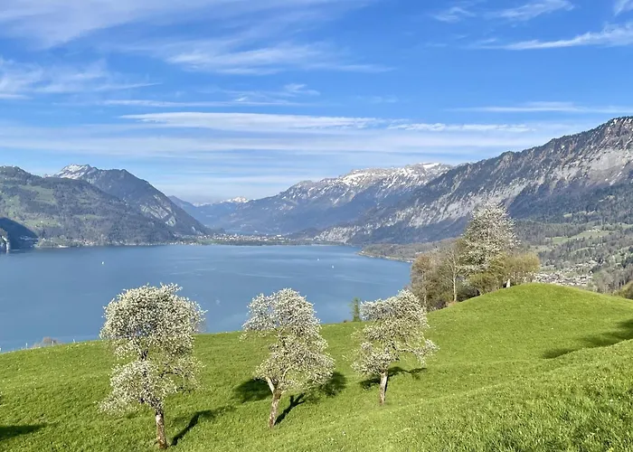 Apartment Panoramaferienwohnung Waldkircher By Interhome Krattigen