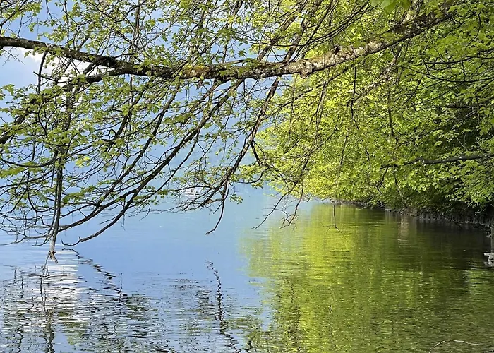 Apartment Panoramaferienwohnung Waldkircher By Interhome