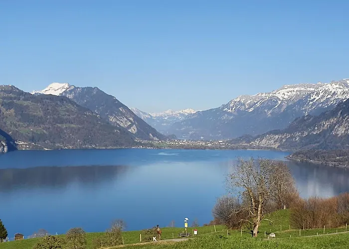 Apartment Panoramaferienwohnung Waldkircher By Interhome Krattigen